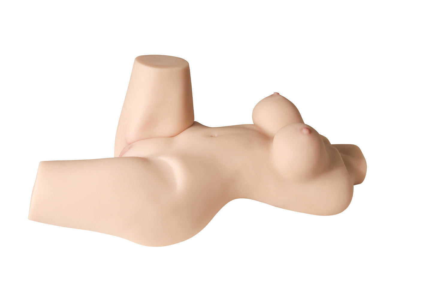 Sexy Lexi The Moveable Torso