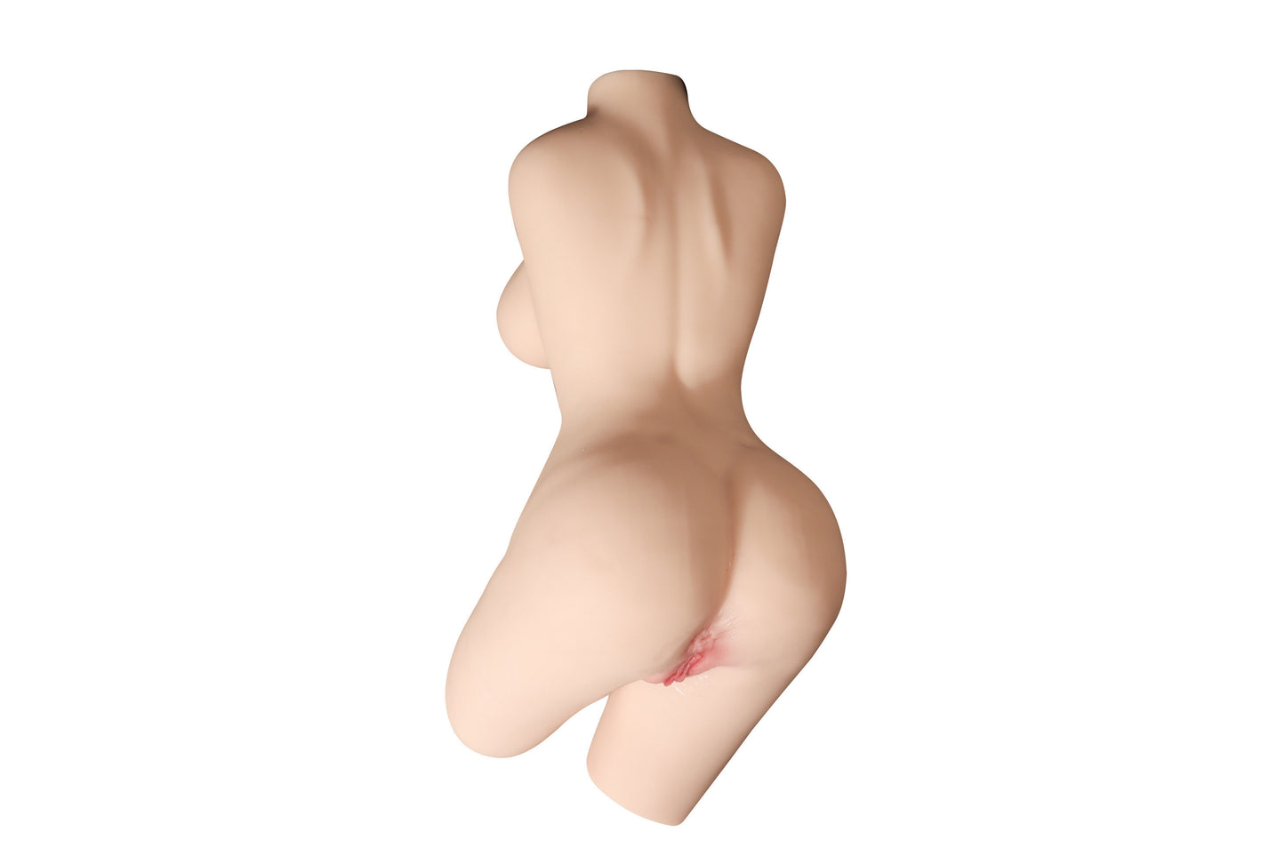 Sexy Lexi The Moveable Torso