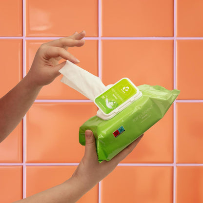 100 Toy cleaning Wipes