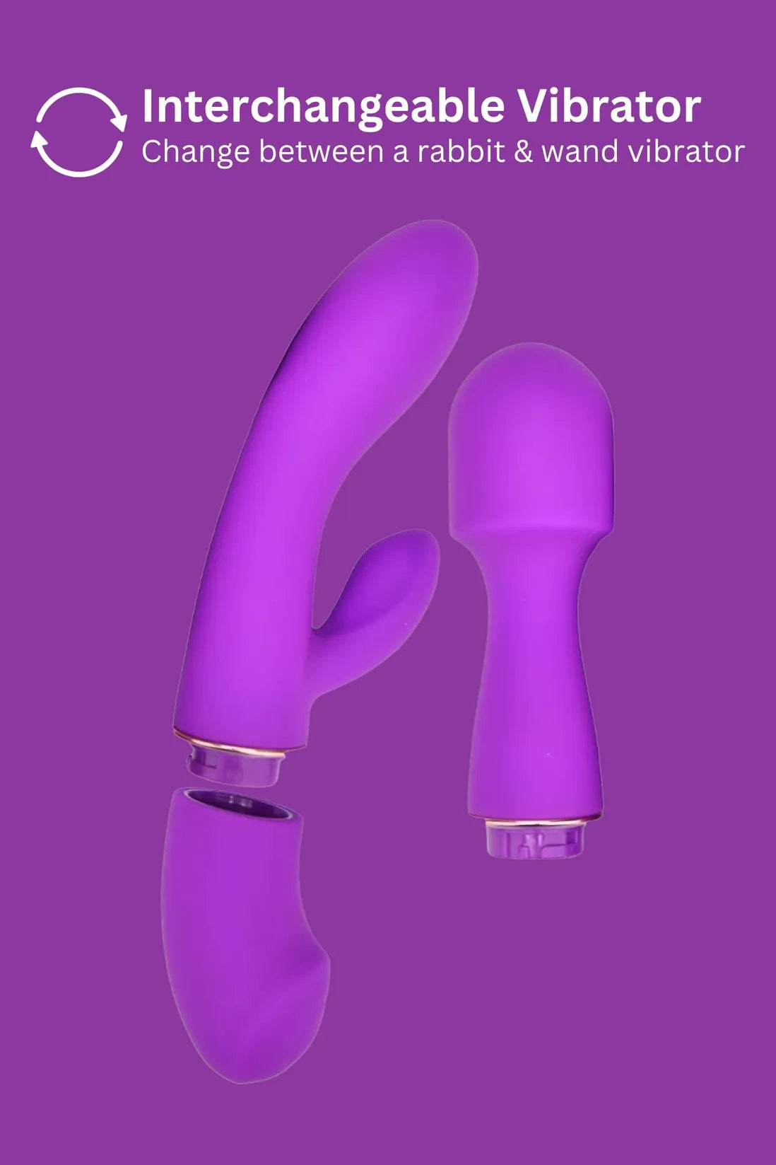 Loving Joy DUA Interchangeable Vibrator With 2 Attachments