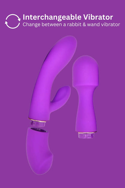 Loving Joy DUA Interchangeable Vibrator With 2 Attachments