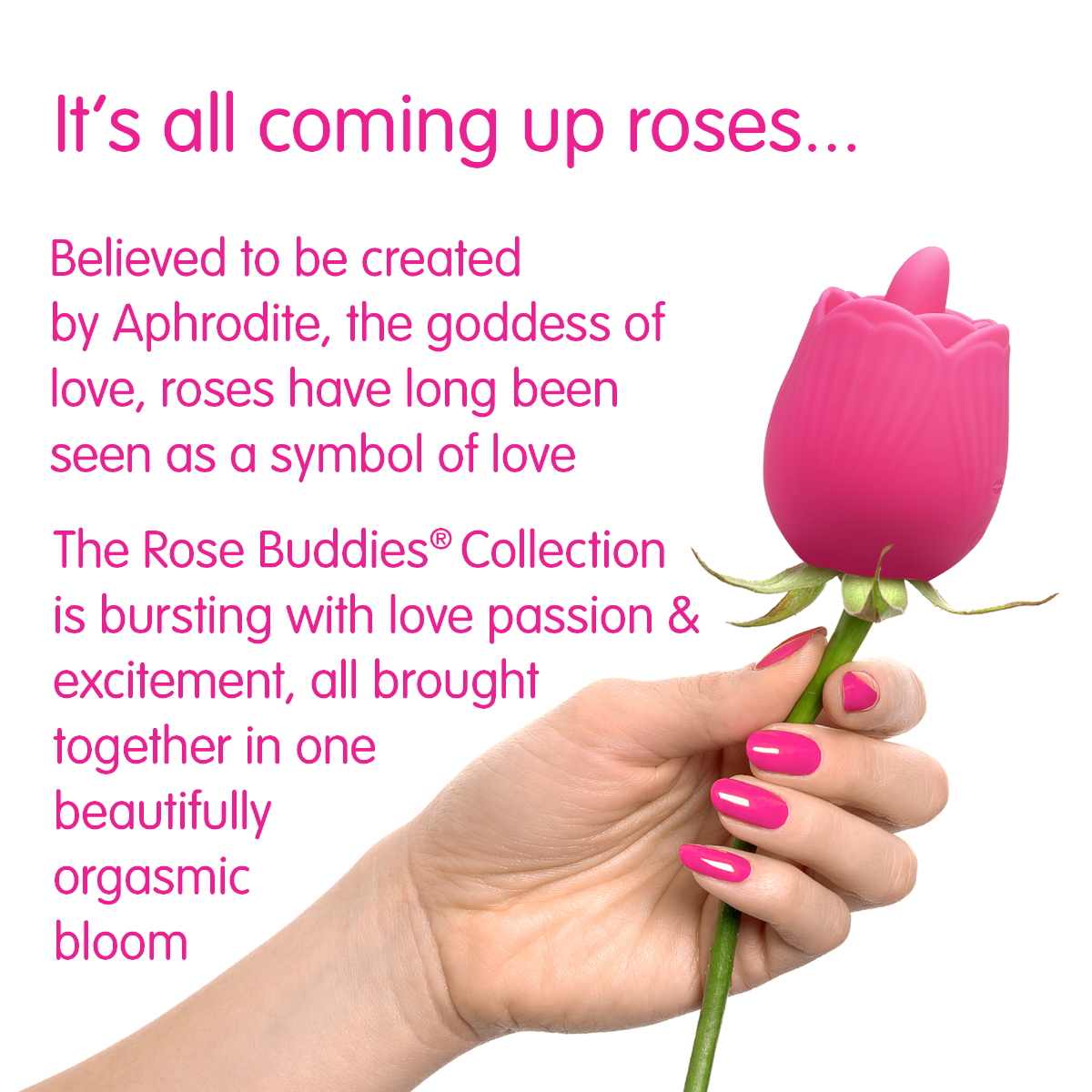 Skins - Rose Flix