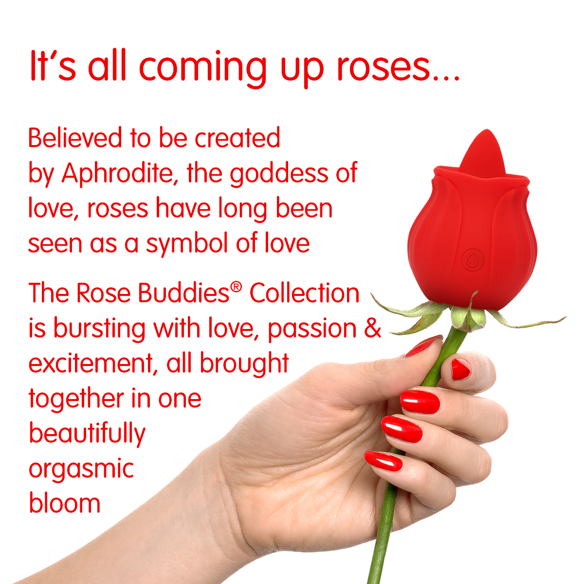 The Rose Lix