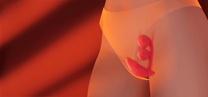 Honey Play Box - Melody The Wearable Vibrator App Controlled