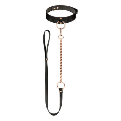Rosy Gold Collar And Leash