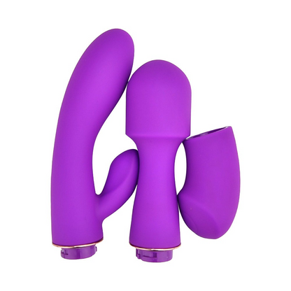 Loving Joy DUA Interchangeable Vibrator With 2 Attachments