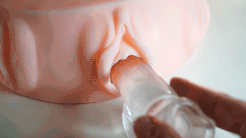 XTC Japan - Onaho Of The Round Table Set