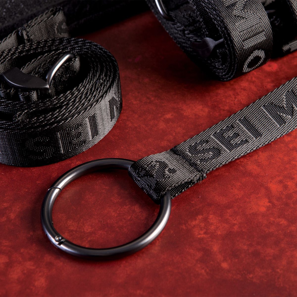 Sei Mio - Under The Bed Restraint System