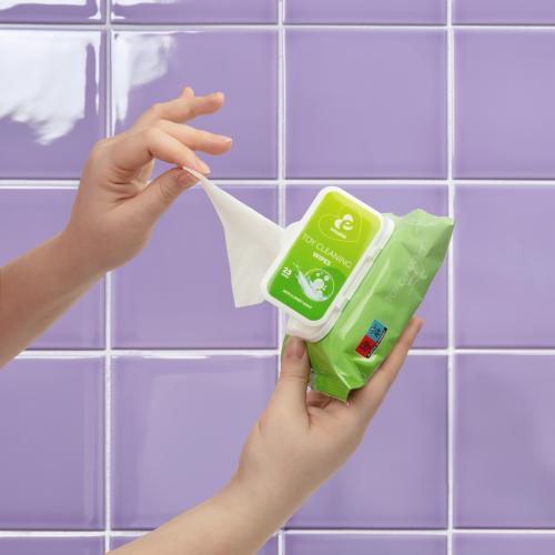 25 Toy Cleaning Wipes